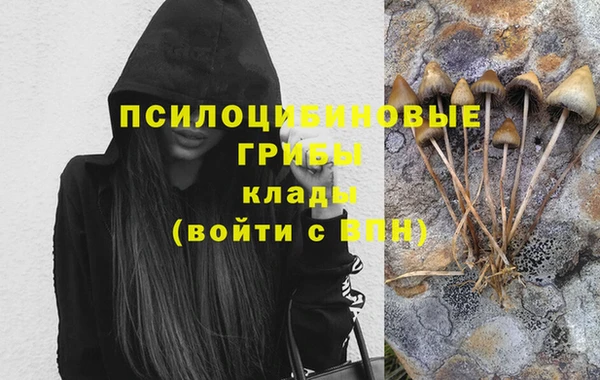 ALPHA PVP Заводоуковск