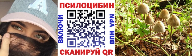 Галлюциногенные грибы Magic Shrooms  Купить  Заринск 